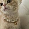 momsgold